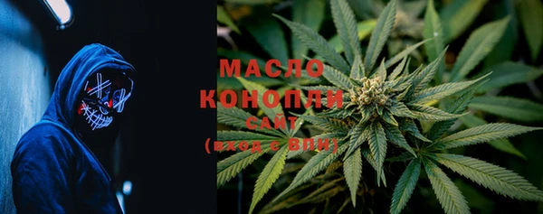 дмт Дмитров