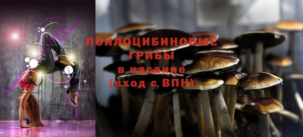 дмт Дмитров
