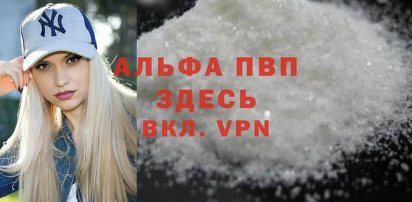 дмт Дмитров
