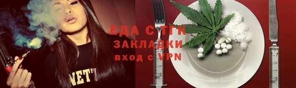 дмт Дмитров