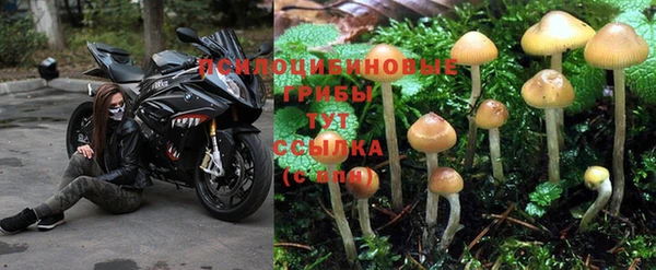винт Дмитровск