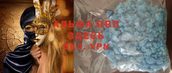 дмт Дмитров