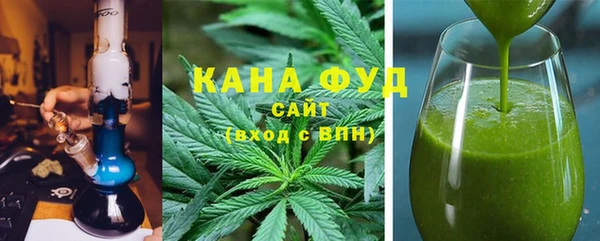 дмт Дмитров