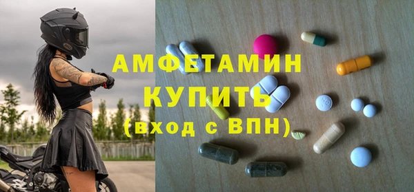 дмт Дмитров