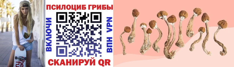 сколько стоит  Электроугли  Псилоцибиновые грибы GOLDEN TEACHER 